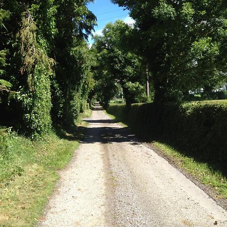 Ballindrum Farm B&B Athy Exterior foto