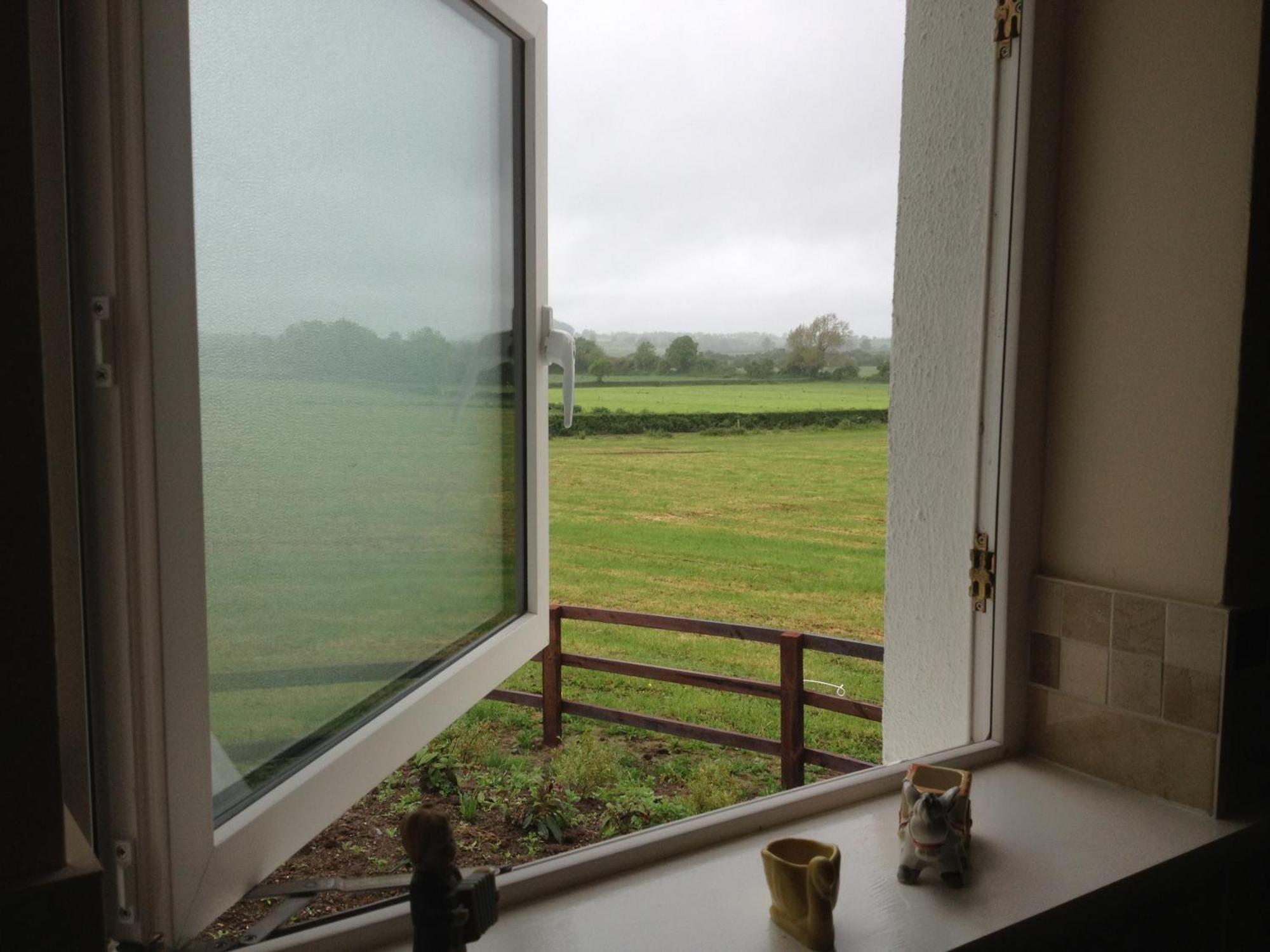 Ballindrum Farm B&B Athy Exterior foto