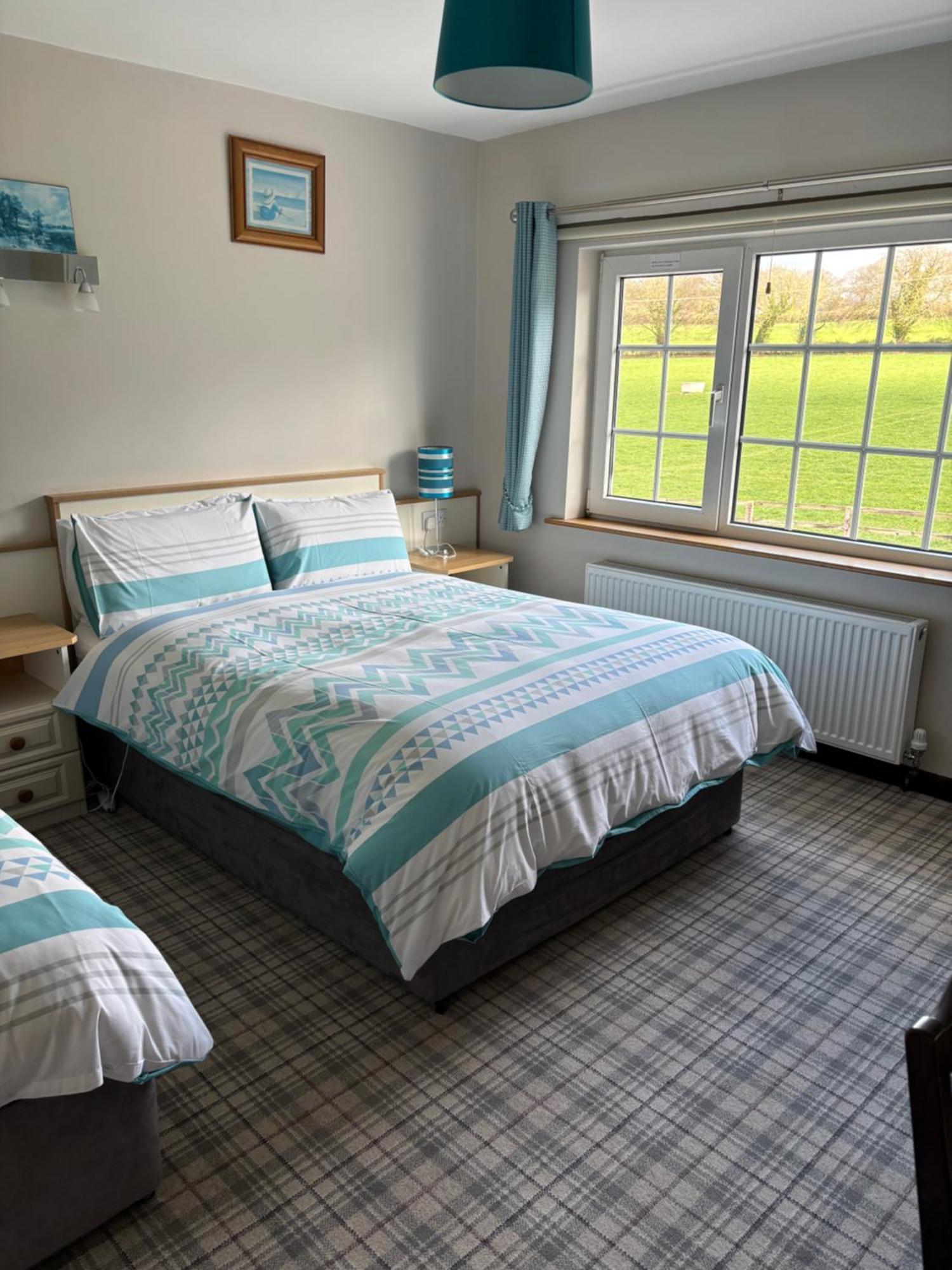 Ballindrum Farm B&B Athy Exterior foto