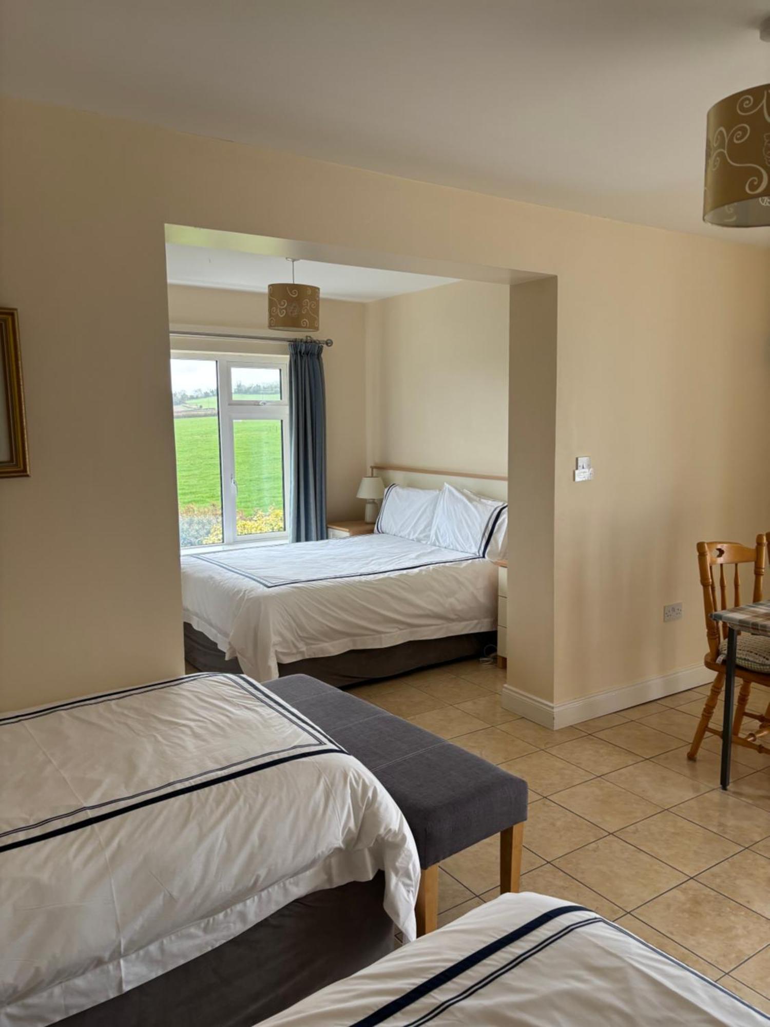 Ballindrum Farm B&B Athy Exterior foto