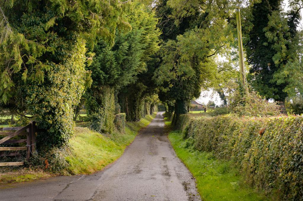 Ballindrum Farm B&B Athy Exterior foto