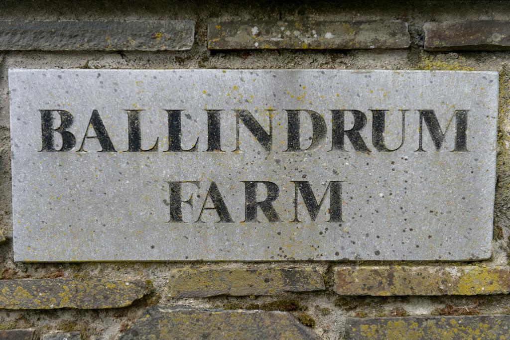 Ballindrum Farm B&B Athy Exterior foto