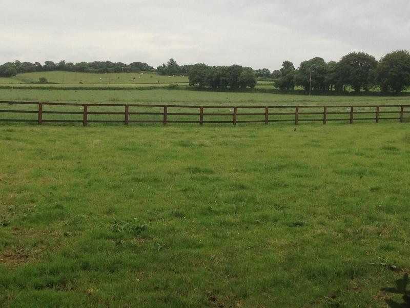 Ballindrum Farm B&B Athy Exterior foto
