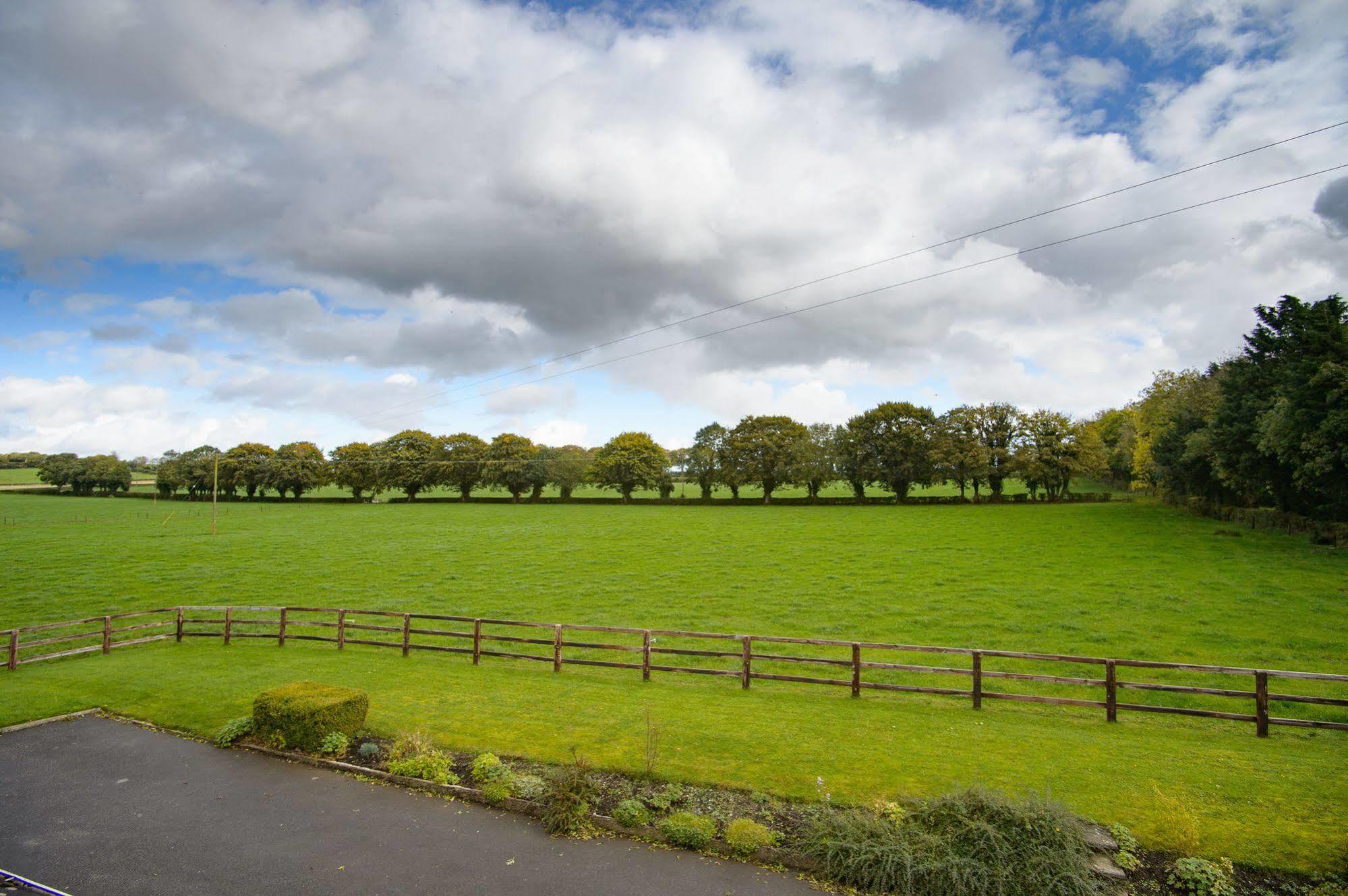 Ballindrum Farm B&B Athy Exterior foto